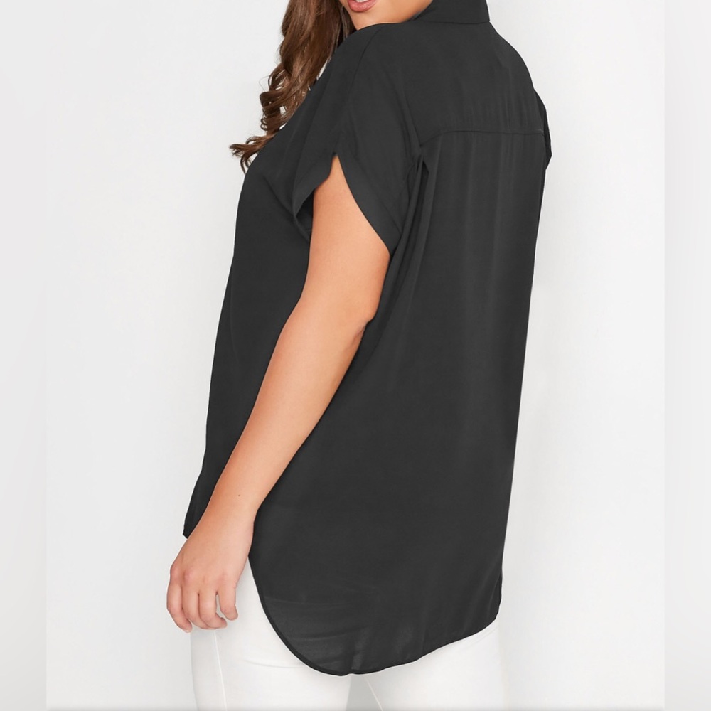 Covington Large Sheer Curve Button Down Blouse